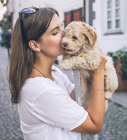 A girl and a dog